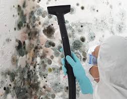 Best Mold Documentation for Insurance Claims in Exeter, CA